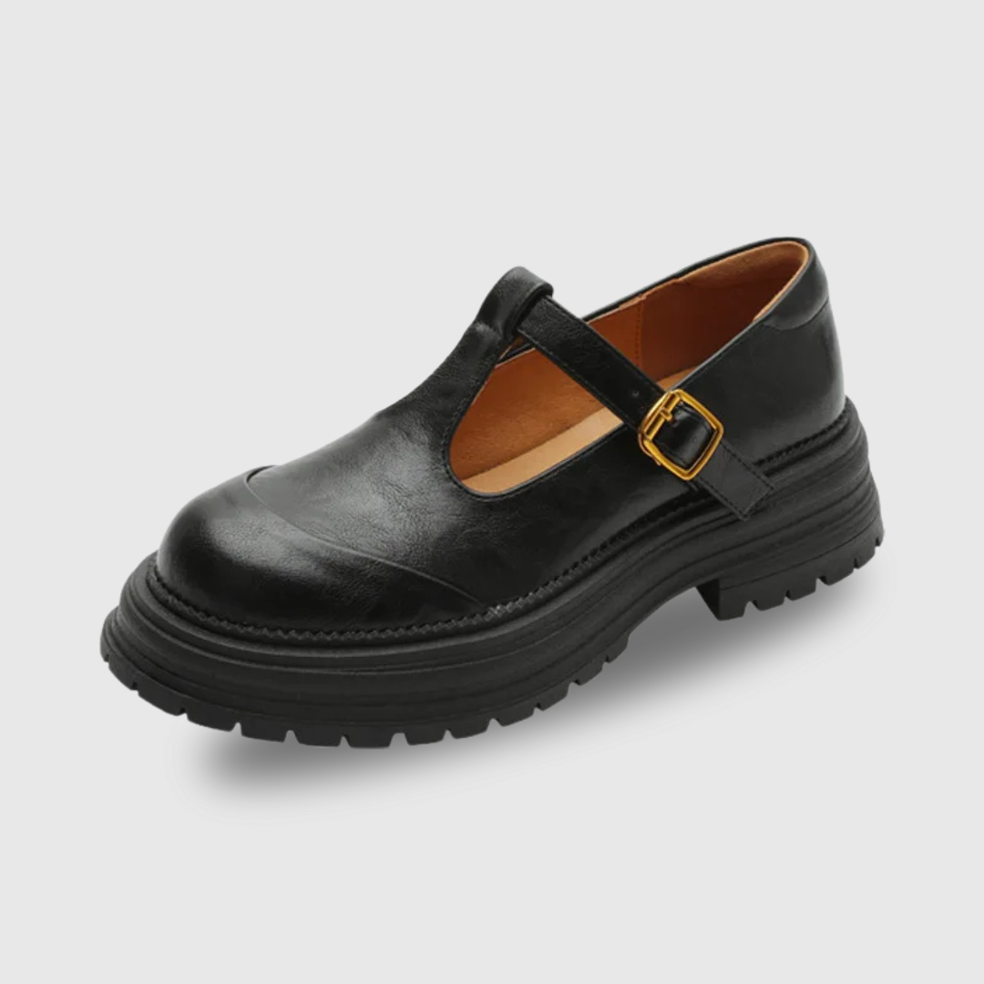Comfortable Mary Jane Shoes for Women with Buckle Strap Round Toe Chunky Sole