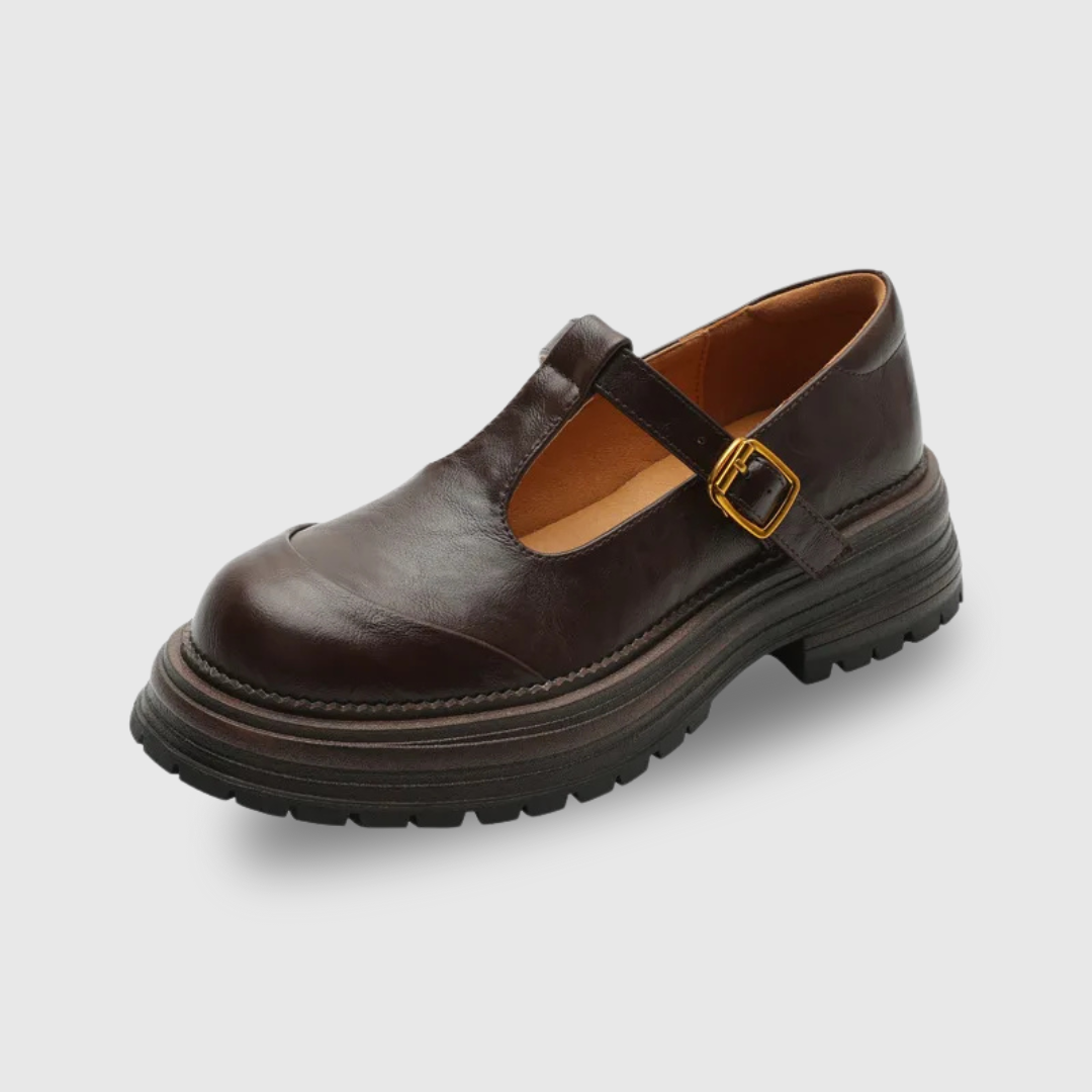 Comfortable Mary Jane Shoes for Women with Buckle Strap Round Toe Chunky Sole