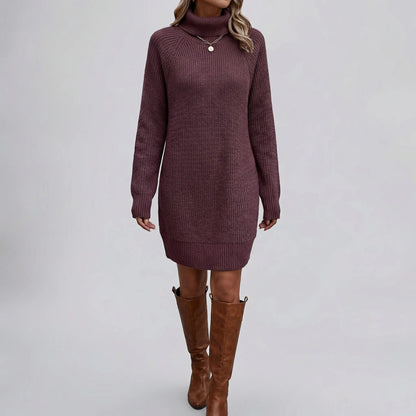 Cozy Sweater Dress for Women with Turtleneck Long Sleeve Chunky Knit Ribbed Tunic Style