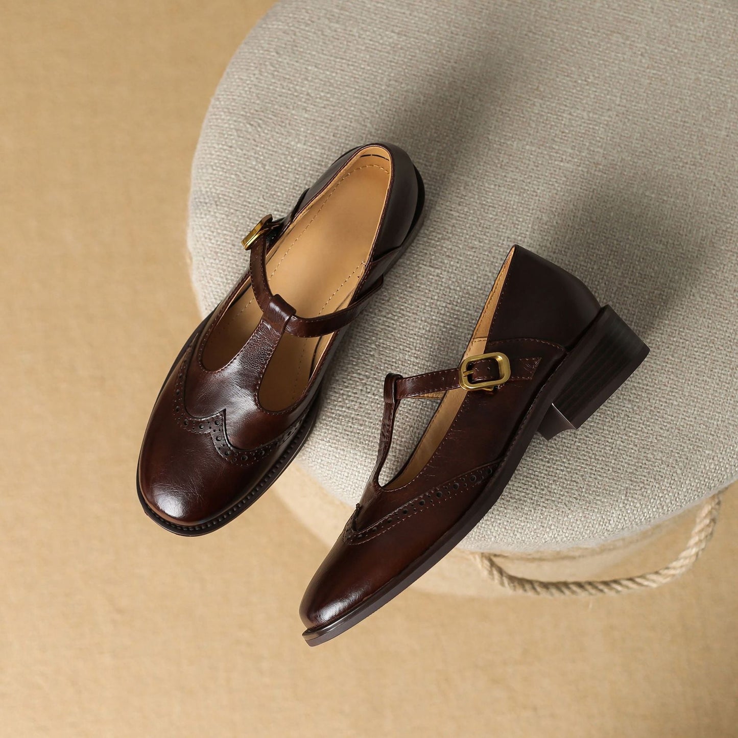 Elegant Mary Jane Shoes for Women with Buckle Strap Block Heel Round Toe Style