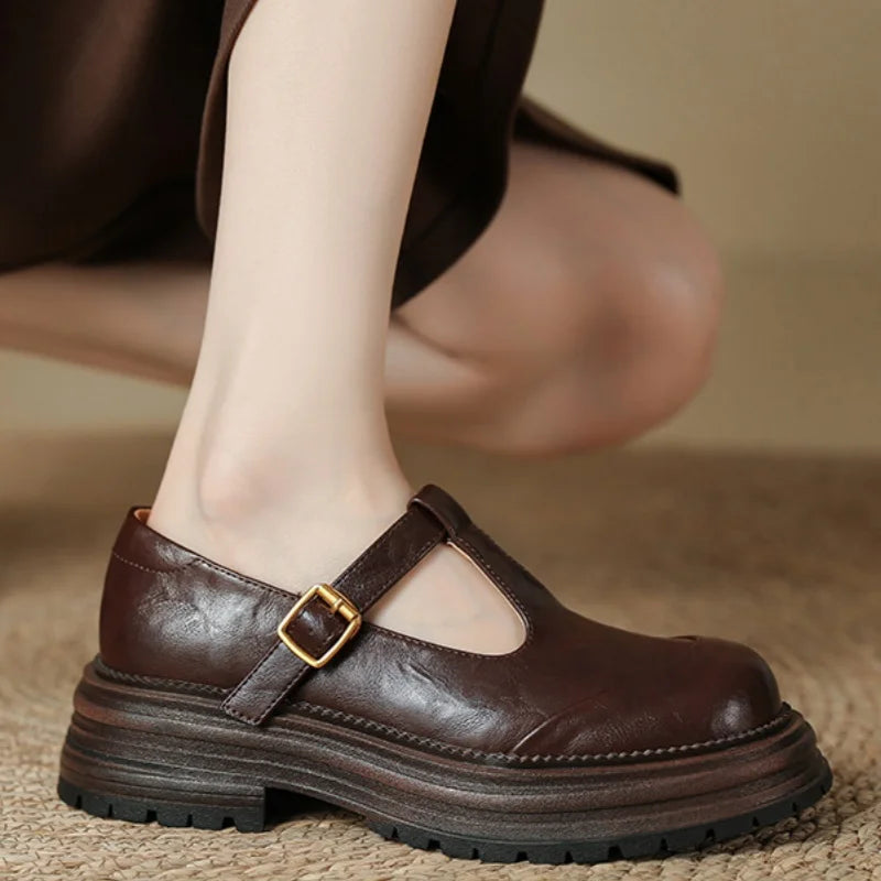Comfortable Mary Jane Shoes for Women with Buckle Strap Round Toe Chunky Sole