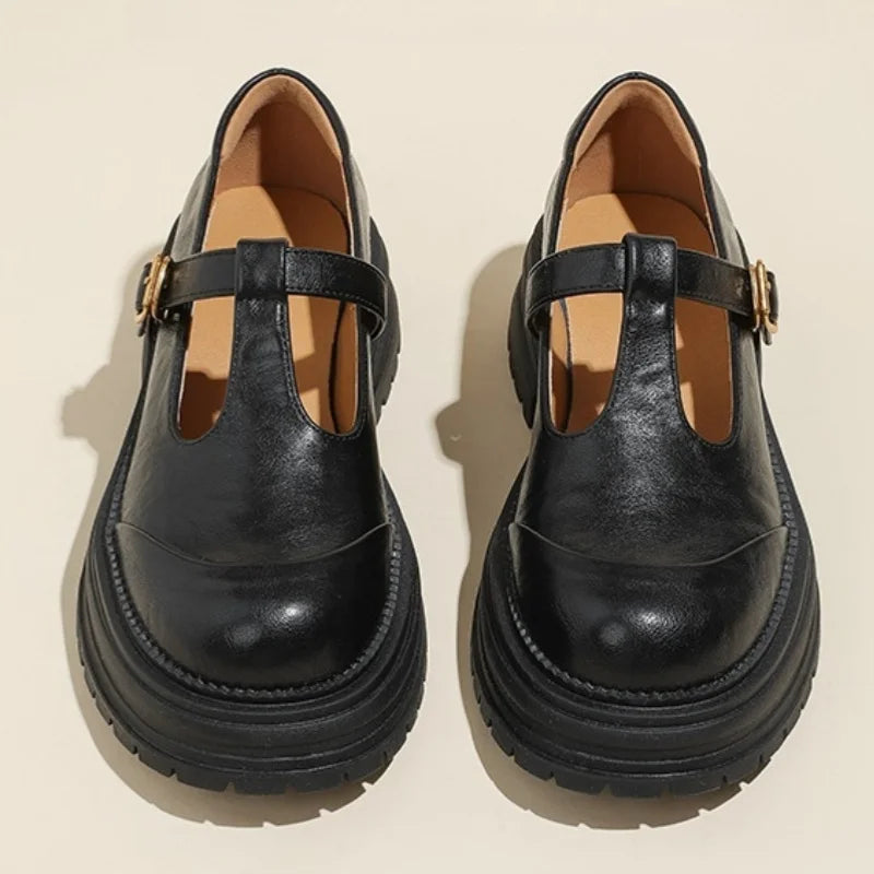 Comfortable Mary Jane Shoes for Women with Buckle Strap Round Toe Chunky Sole