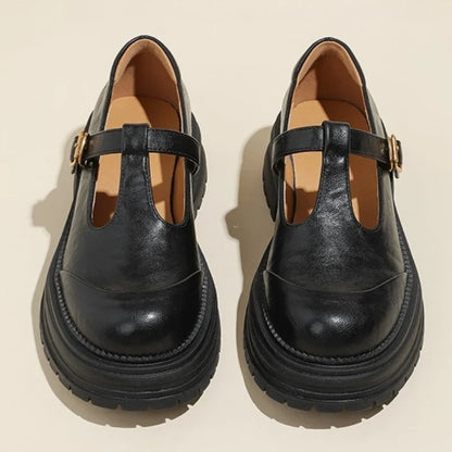 Comfortable Mary Jane Shoes for Women with Buckle Strap Round Toe Chunky Sole