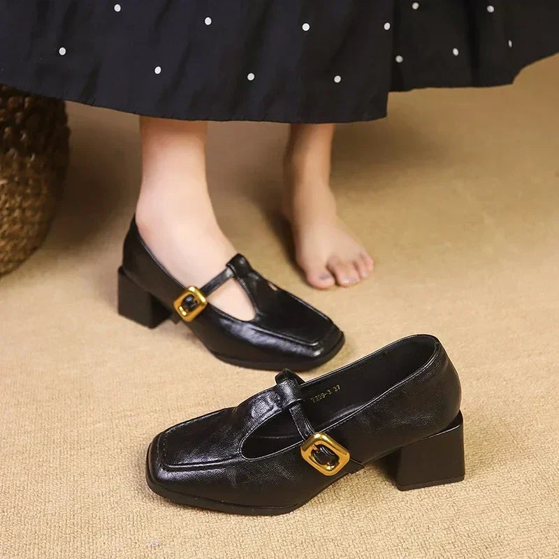 Elegant Mary Jane Shoes for Women with Buckle Strap Block Heel Square Toe Style