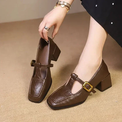 Elegant Mary Jane Shoes for Women with Buckle Strap Block Heel Square Toe Style