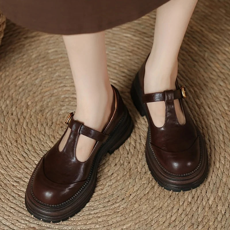 Comfortable Mary Jane Shoes for Women with Buckle Strap Round Toe Chunky Sole