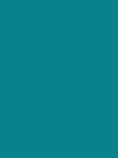 Elegant Satin Midi Dress for Women with V Neck Long Sleeve Ruched Bodycon Mother Of The Bride Style